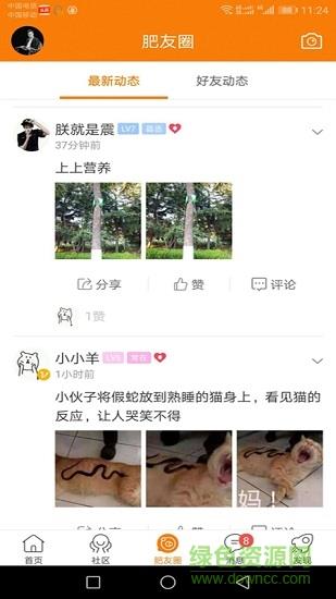 大肥城截图