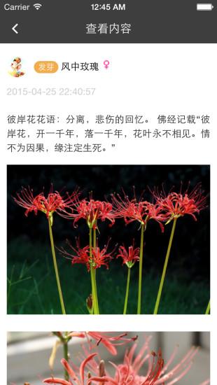 枫桥居花卉
