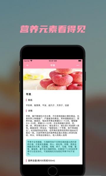 懒猪营养