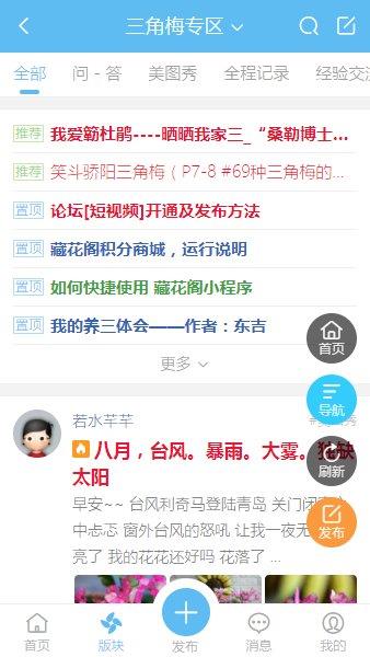 藏花阁园艺论坛