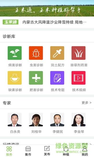玉米通