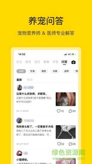 小绒宠物