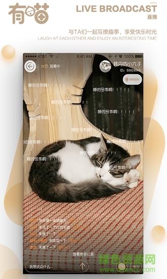 有喵云养猫