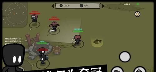影子大乱斗