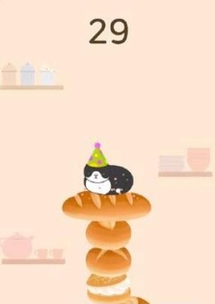 Cat Bakery