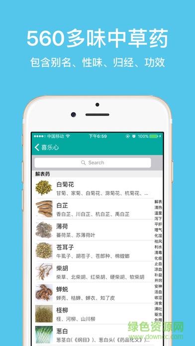 大中医宝典