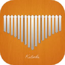 kalimba tuner拇指琴调音器