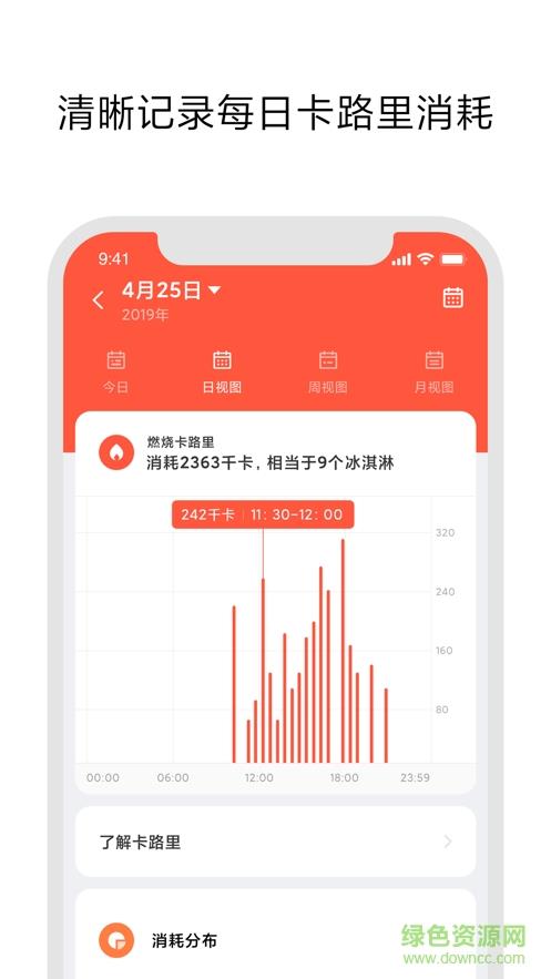 小米穿戴lite