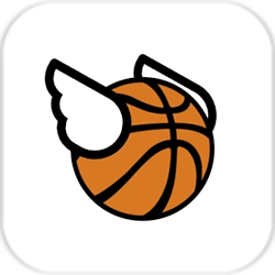 Fly Dunk(飞翔的扣篮)