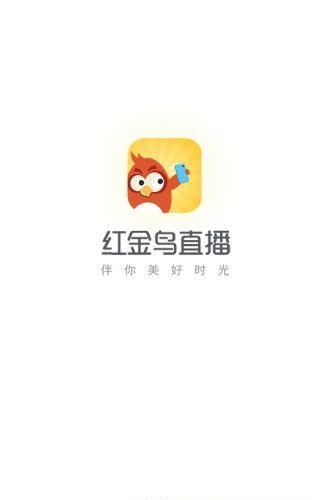 红金鸟直播