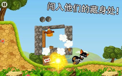 偷鸡狐