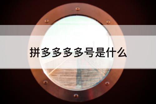 拼多多多多号是什么