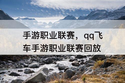 手游职业联赛,qq飞车手游职业联赛回放
