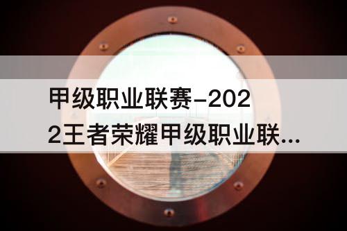 甲级职业联赛-2022王者荣耀甲级职业联赛