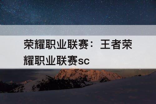 荣耀职业联赛:王者荣耀职业联赛scr