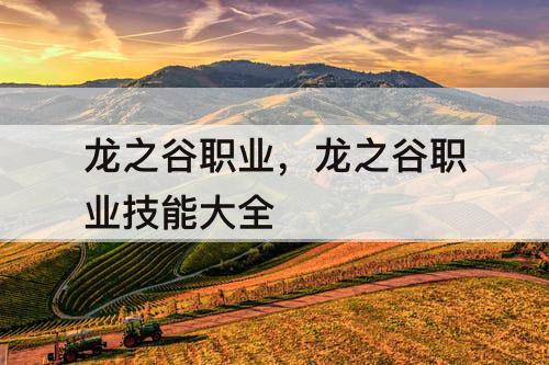 龙之谷职业,龙之谷职业技能大全