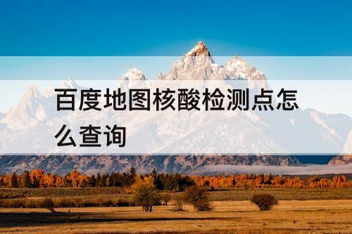 百度地图核酸检测点怎么查询
