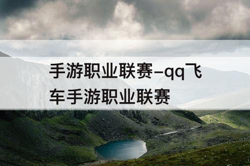 手游职业联赛-qq飞车手游职业联赛