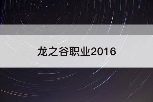 龙之谷职业2016