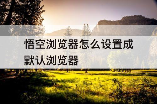 悟空浏览器怎么设置成默认浏览器