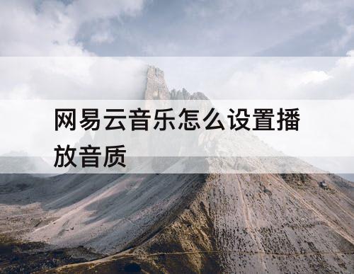 网易云音乐怎么设置播放音质