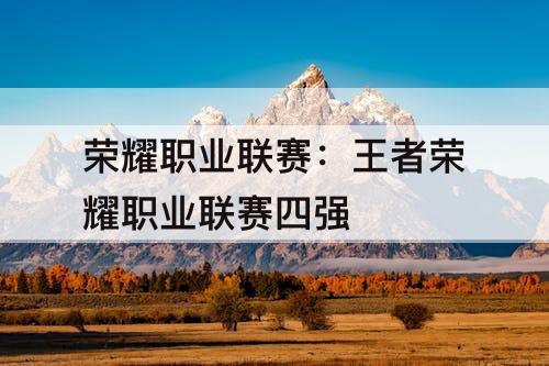 荣耀职业联赛:王者荣耀职业联赛四强