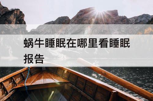 蜗牛睡眠在哪里看睡眠报告
