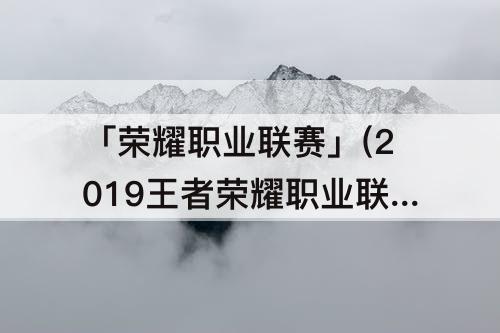 「荣耀职业联赛」(2019王者荣耀职业联赛)