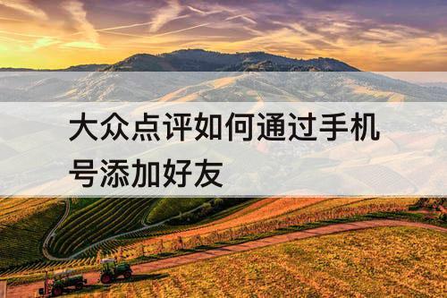 大众点评如何通过手机号添加好友