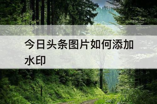 今日头条图片如何添加水印