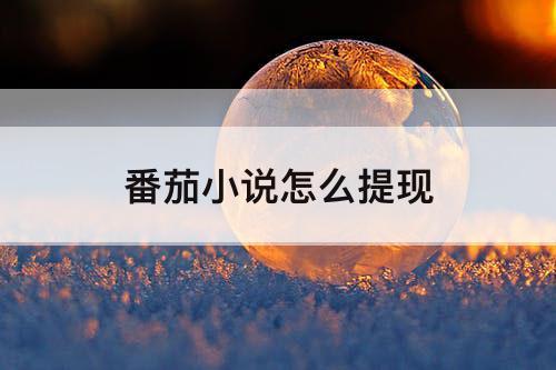 番茄小说怎么提现