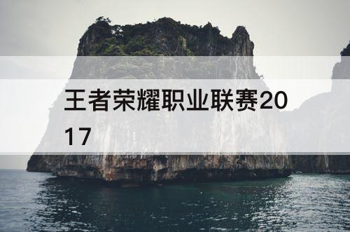 王者荣耀职业联赛2017