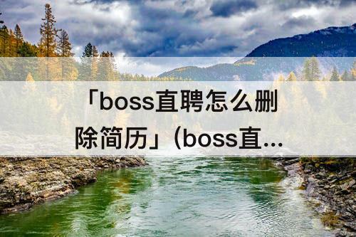 「boss直聘怎么删除简历」(boss直聘怎么删除简历附件)