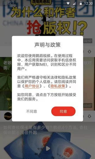 鹦鹉视频最新版