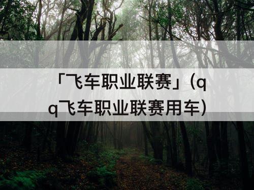 「飞车职业联赛」(qq飞车职业联赛用车)