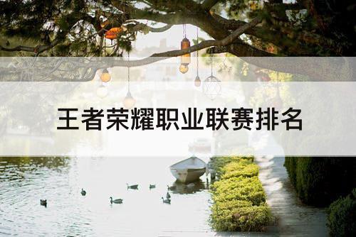 王者荣耀职业联赛排名