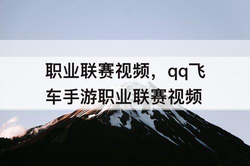 职业联赛视频，qq飞车手游职业联赛视频