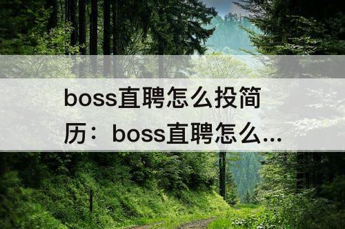 boss直聘怎么投简历：boss直聘怎么投简历效果好