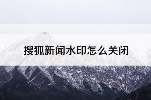 搜狐新闻水印怎么关闭