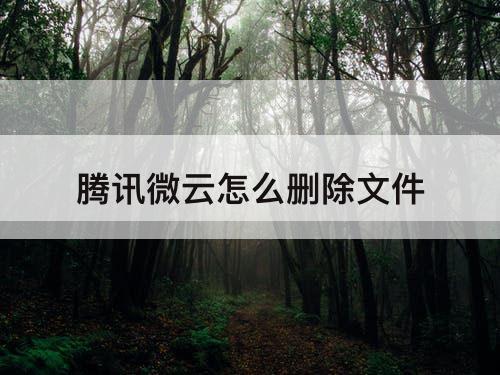 腾讯微云怎么删除文件