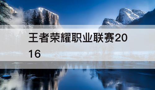 王者荣耀职业联赛2016