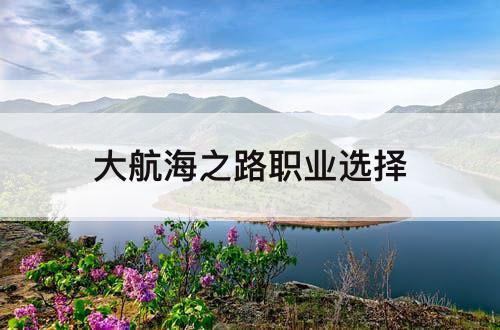 大航海之路职业选择
