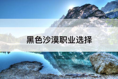 黑色沙漠职业选择