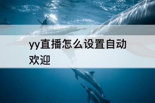 yy直播怎么设置自动欢迎
