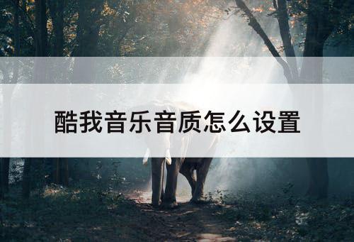 酷我音乐音质怎么设置