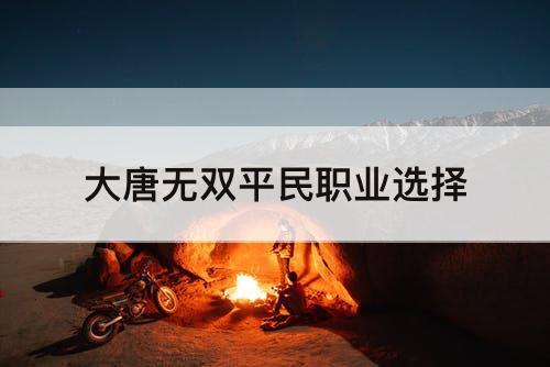 大唐无双平民职业选择