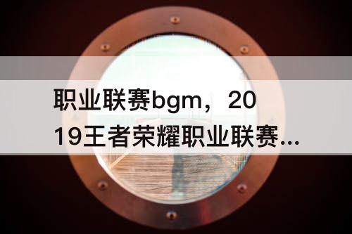 职业联赛bgm，2019王者荣耀职业联赛bgm