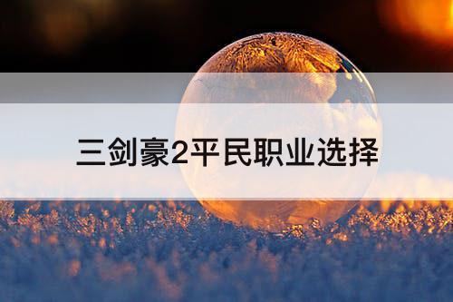 三剑豪2平民职业选择