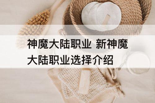 神魔大陆职业 新神魔大陆职业选择介绍