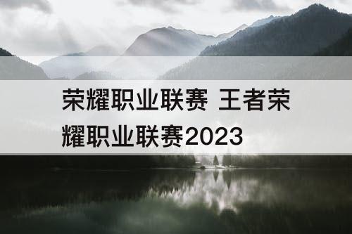 荣耀职业联赛 王者荣耀职业联赛2023